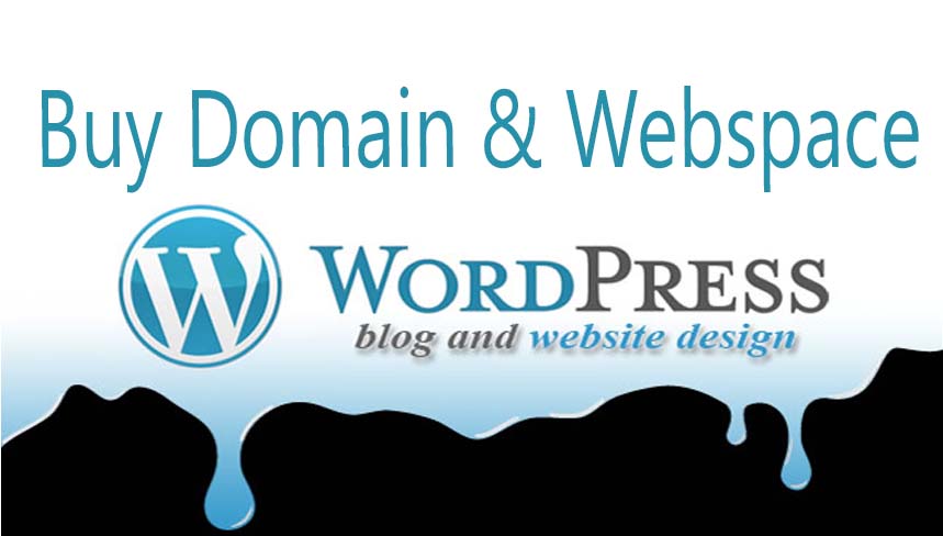 buy domain and webspace
