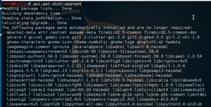 Upgrade kali linux Operating System