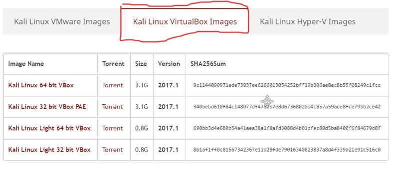kali-linux-virtualbox-image