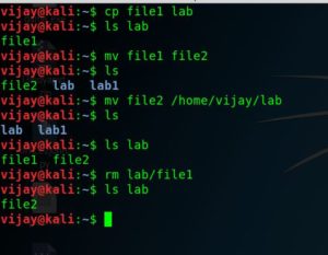 Kali linux commands basic 3