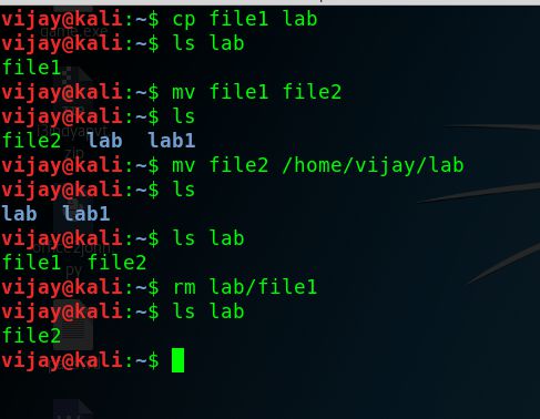 Kali linux commands basic 3