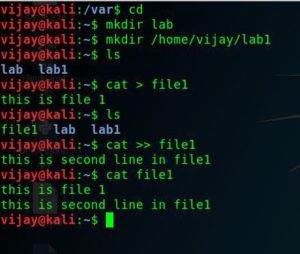 Kali linux commands basic use cat