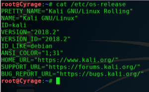 Check Kali Linux version