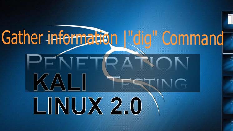 Gather information using dig command in Kali Linux