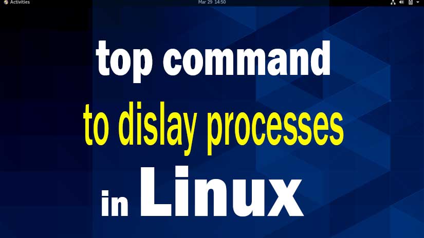 top-command-in-linux-to-display-the-the-process